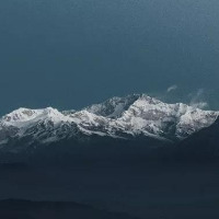 甲方Br.