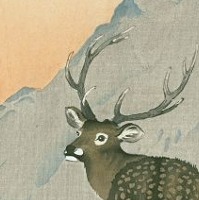 听说你叫猪八戒