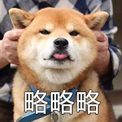 看雪的小可爱