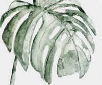 mint-22