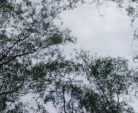 刘桂明