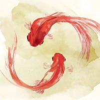 韩晓云