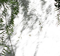 晴yi