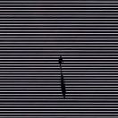 _o1pP1