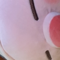 李瀚林.