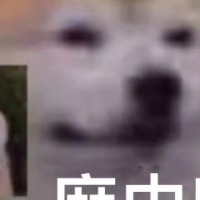 yulinn
