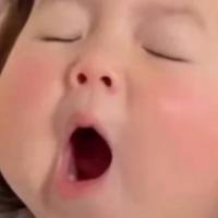 大石zi