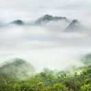 庭山 思