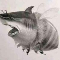 KaiwenNB