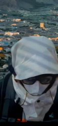 張jin
