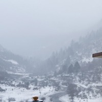 xz陈小巢